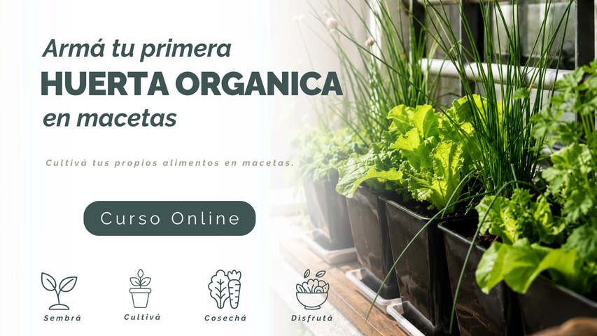 Taller de Huerta Orgánica - Armá tu primera huerta organica en macetas