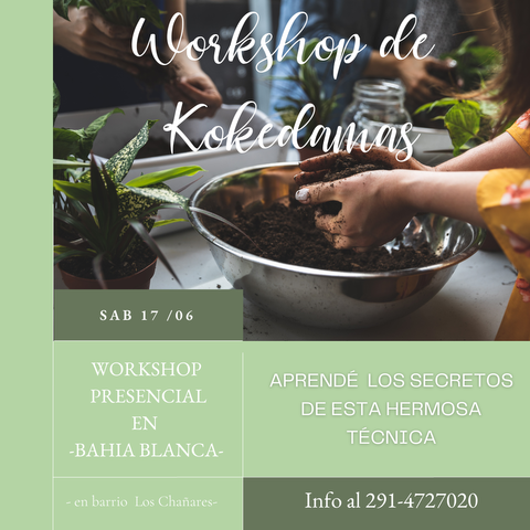Workshop Presencial Kokedamas