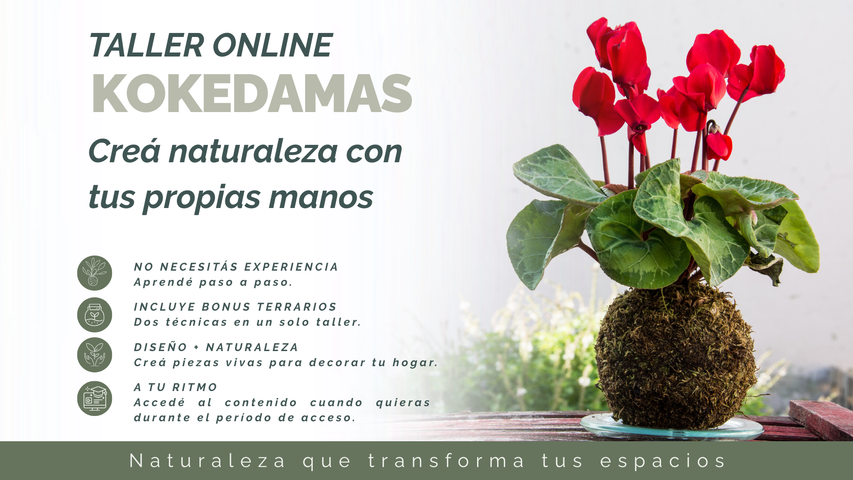 Taller de Kokedamas - Diseñá piezas vivas para llenar tu casa de naturaleza
