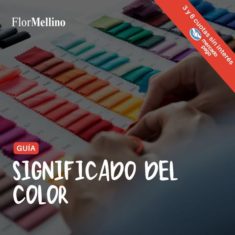 Guía - Significado del color en la ropa y colorimetría