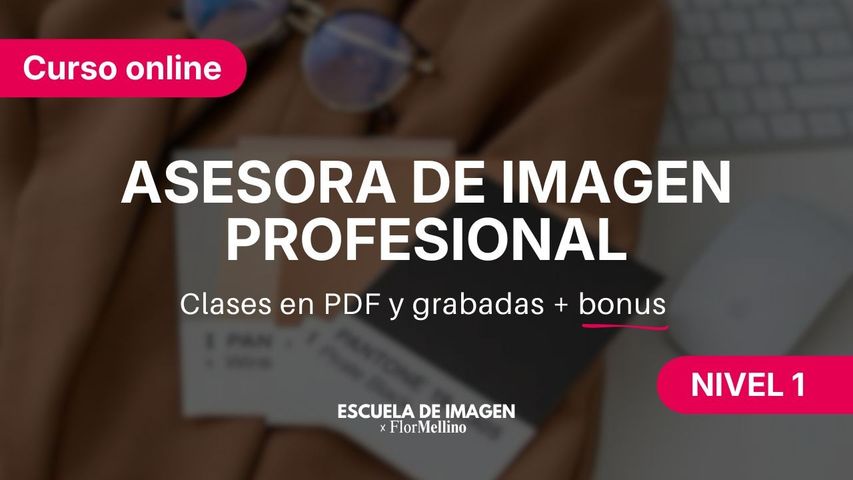 Asesora de Imagen Profesional - Nivel 1