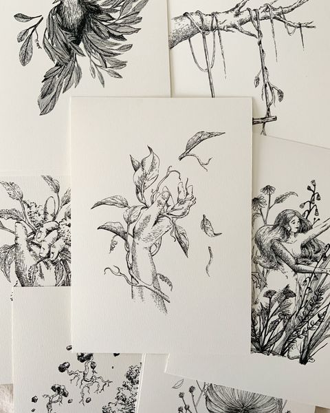 Print A5. Colección Naturaleza en tinta VI. Renacer.