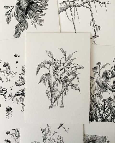 Print A5. Colección Naturaleza en tinta IV. Brota.