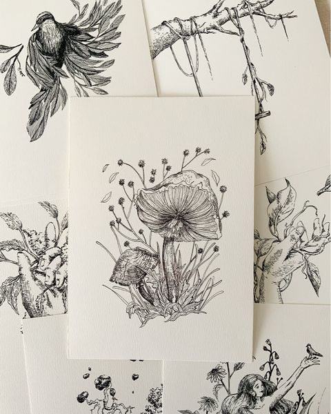 Print A5. Colección Naturaleza en tinta VII. Hongos.