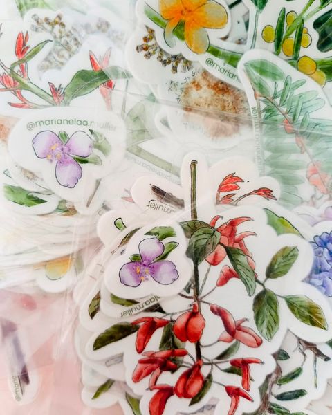 Pack de Stickers Botánica nativa