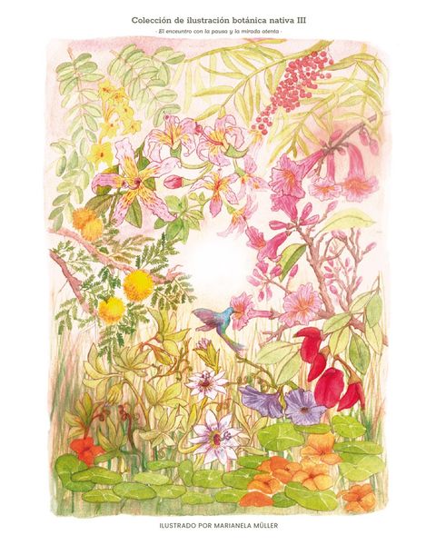 Lámina Colección Botánica Nativa III