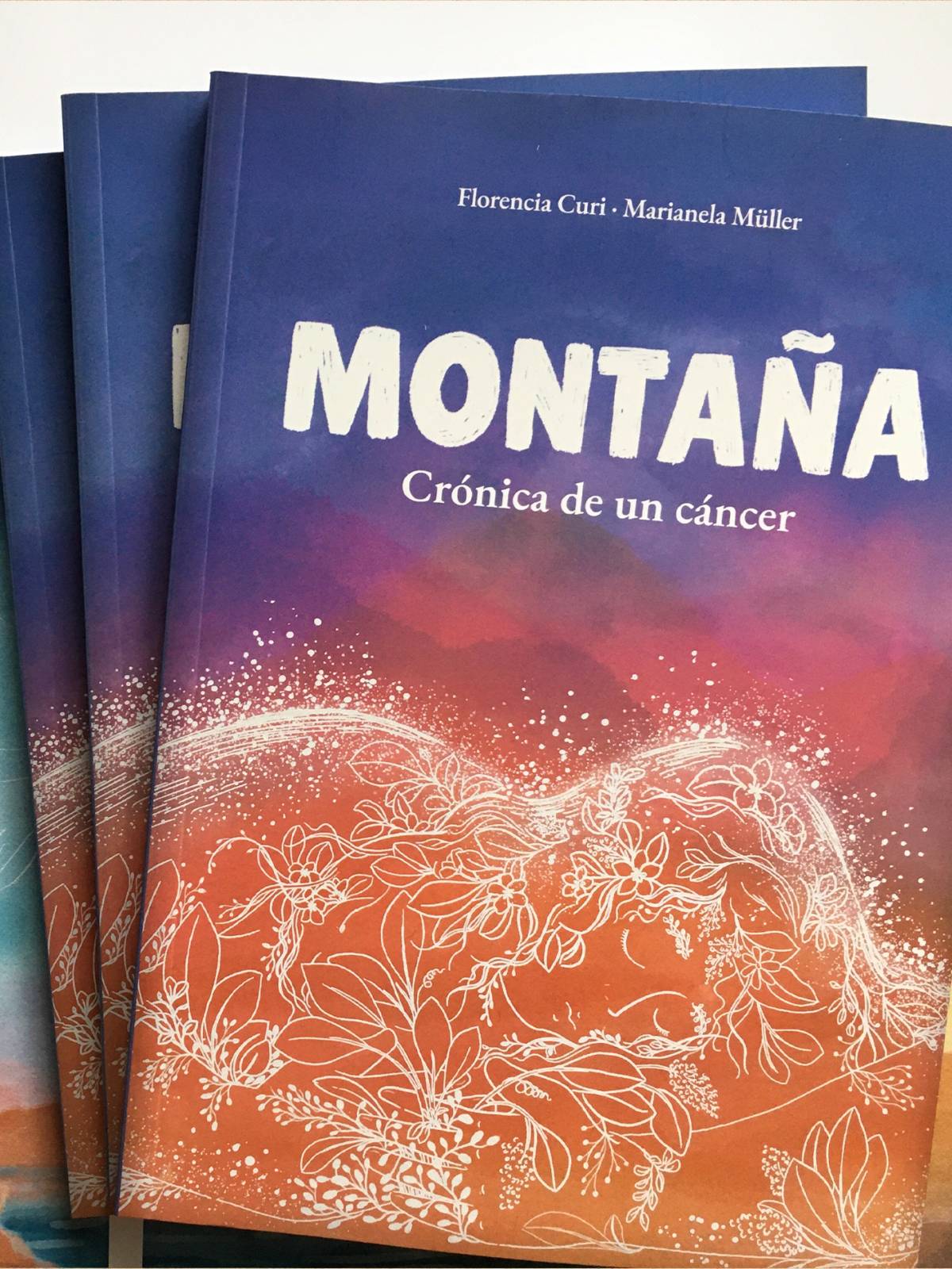 libro ilustrado montaña crónica de un cáncer