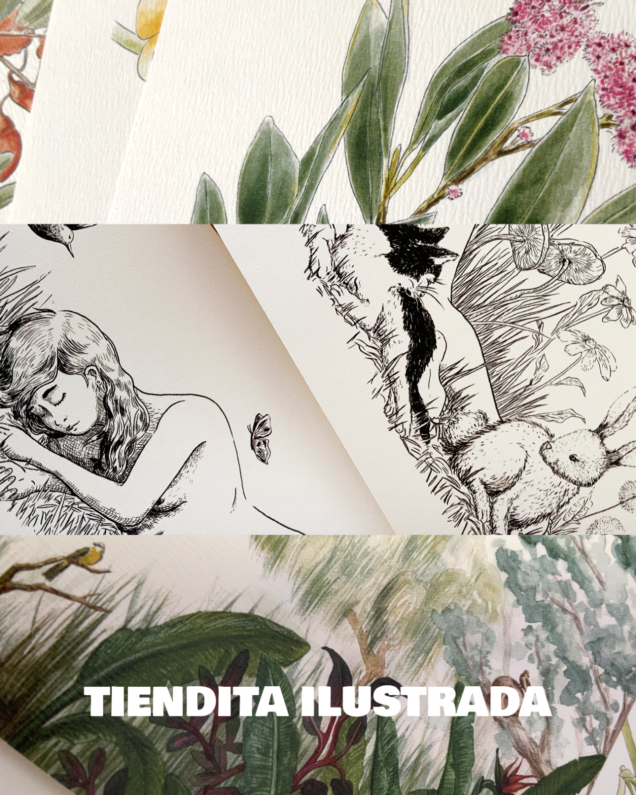 Tienda de ilustraciones marianela muller print, libros, juegos y productos ilustrados