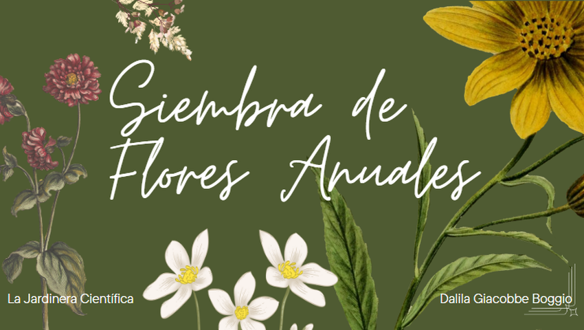 Siembra de Flores Anuales