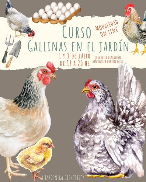 Gallinas en el Jardín