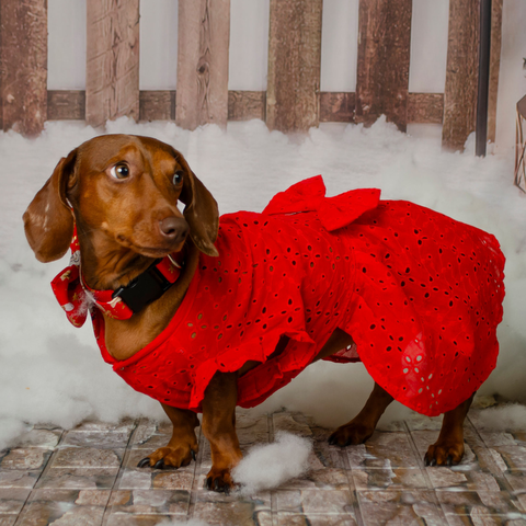 Vestido broderi rojo con moño 