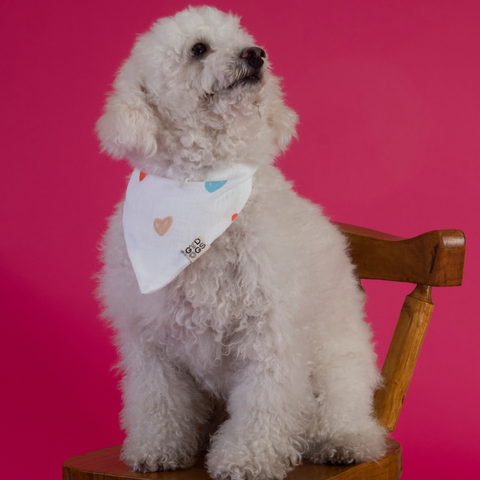 Bandana diseño corazones