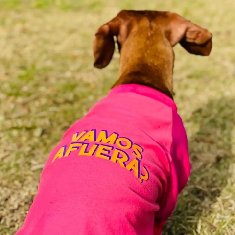 Remera con estampa en espalda