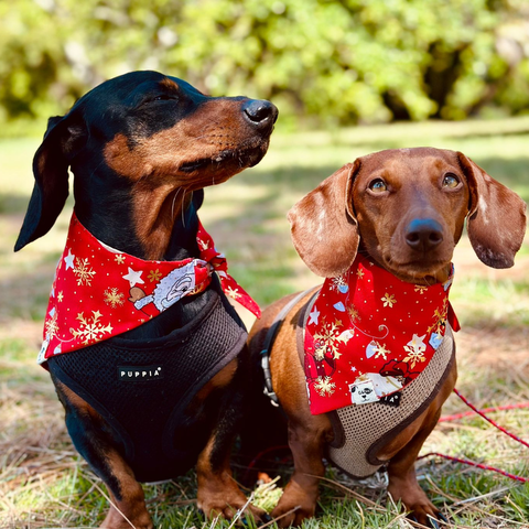 Bandana estampada con diseño navideño 