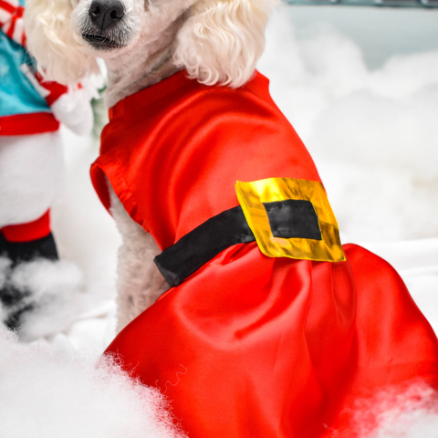 Vestido motivo papá noel