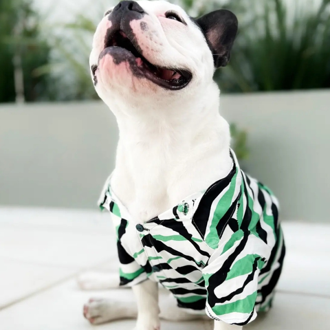 Camisa popelina con botones delanteros animal print