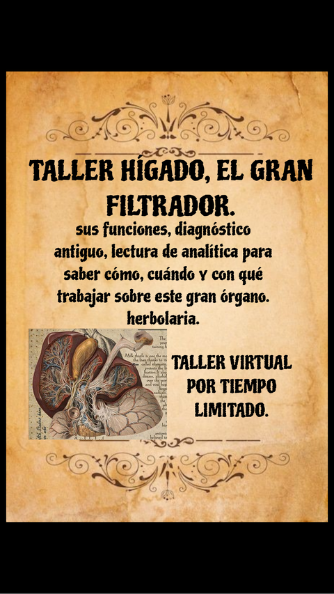 HIGADO, el gran filtrador de sangre.