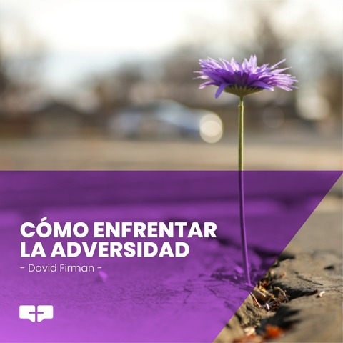 Cómo enfrentar la adversidad