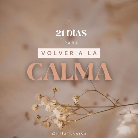 Programa VOLVER A LA CALMA