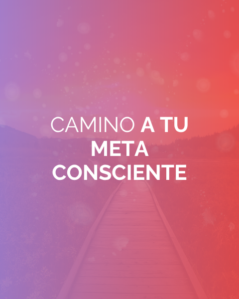 Informe Camino a tu meta consciente
