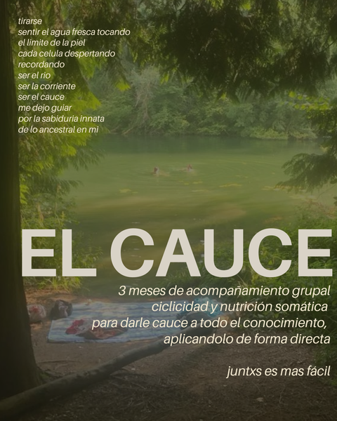 EL CAUCE