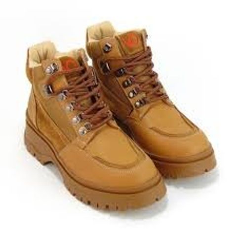 BORCEGO  VIAMO HUDSON 