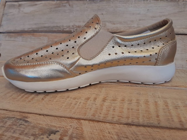 ZAPATILLAS FRASCA