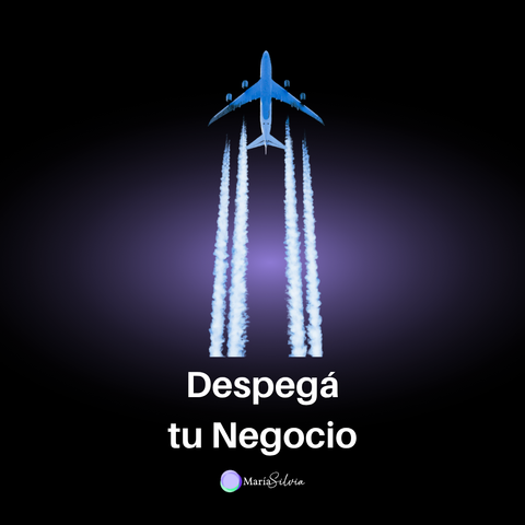 Despega tu Negocio 🚀