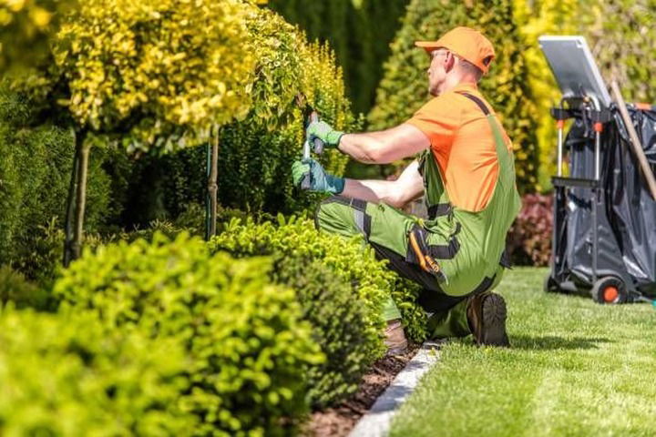 Todo acerca de la Jardinería (YARD WORK)