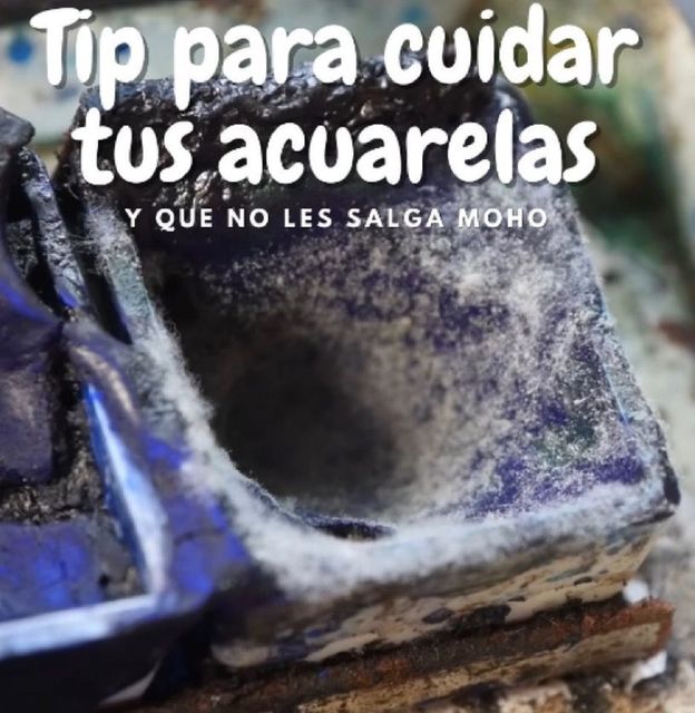 Tips para cuidar tus acuarelas y evitar hongos