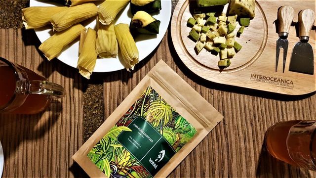 Wará Guayusa: La prima ecuatoriana de la yerba mate