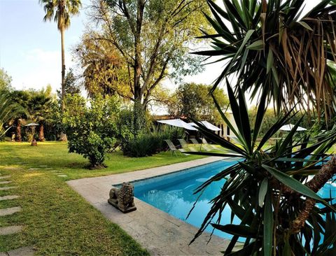 Posada Colibrí: El mejor lugar para descansar en Teotihuacán