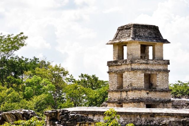 México: Qué hacer en la zona arqueológica de Palenque