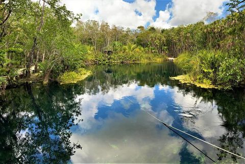 10 increíbles cenotes que debes conocer en México