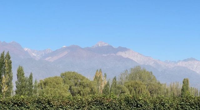 Mendoza fue elegida como uno de los 25 mejores destinos gastronómicos del mundo