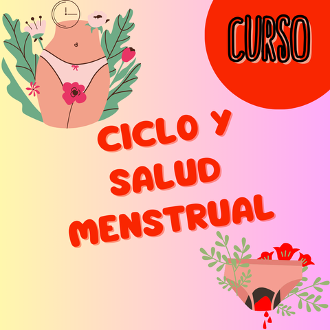 Todo sobre el CICLO MENSTRUAL