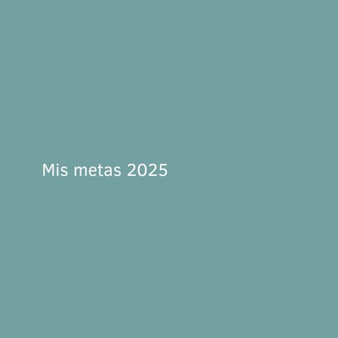 Mis metas 2025