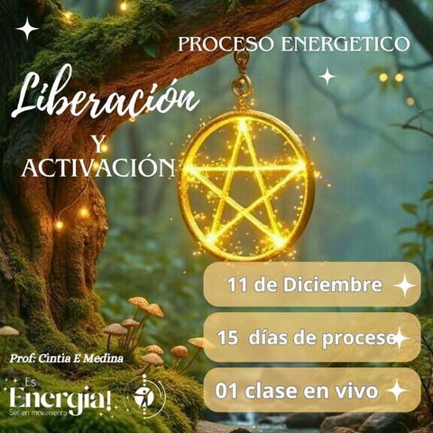 PROCESO DE ACTIVACION Y LIBERACION