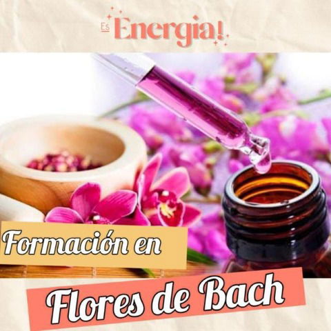 FORMACION EN FLORES DE BACH