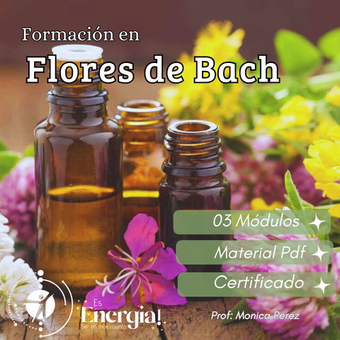 FORMACION EN FLORES DE BACH