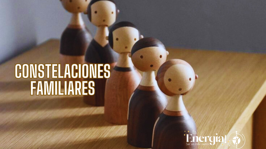 CONSTELACIONES FAMILIARES -MODALIDAD INDIVIDUAL