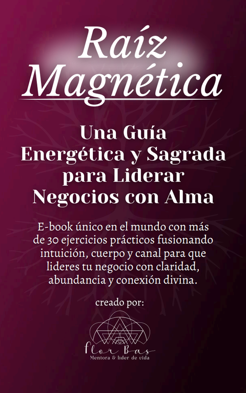E-BOOK RAIZ MAGNETICA 