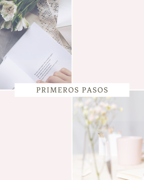 Primeros Pasos