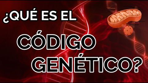 ¿Qué es el código genético? ¿Qué es el ADN?