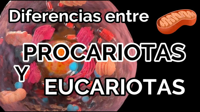 Diferencias entre procariotas y eucariotas - Teoría endosimbiótica