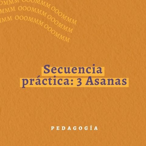 Secuencia de práctica 