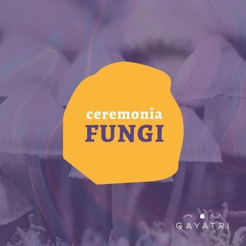 Ceremonia Fungi