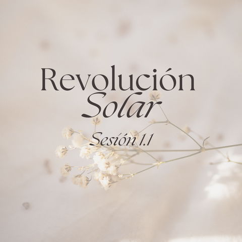 Revolución Solar 1.1