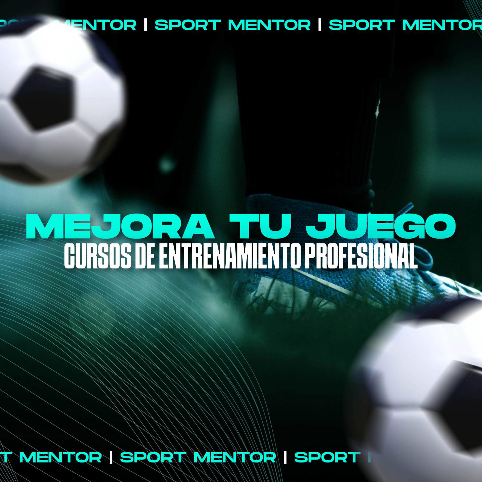 CURSOS ONLINE DE ENTRENAMIENTO PROFESIONAL