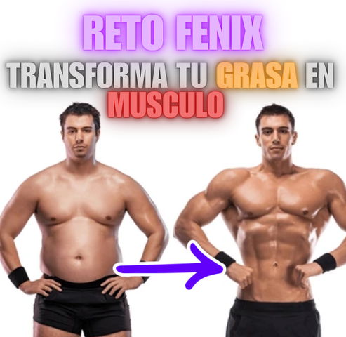 Reto TRANSFORMA GRASA en MUSCULO (hombre)